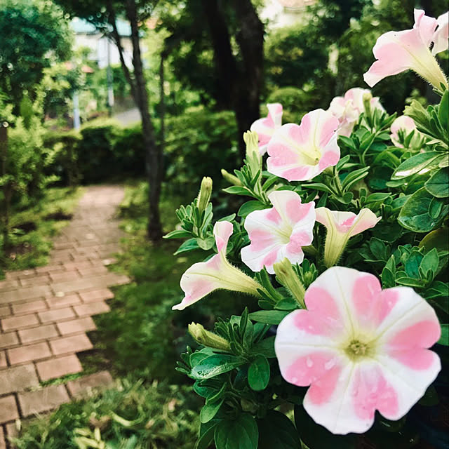 k-tomさんの実例写真