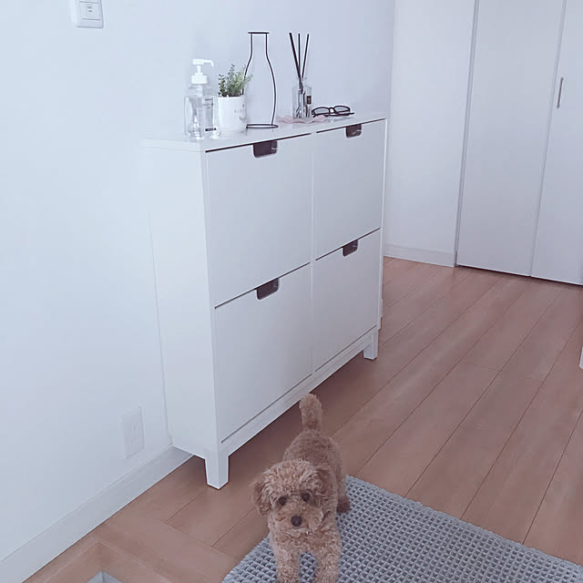 lilyさんの実例写真