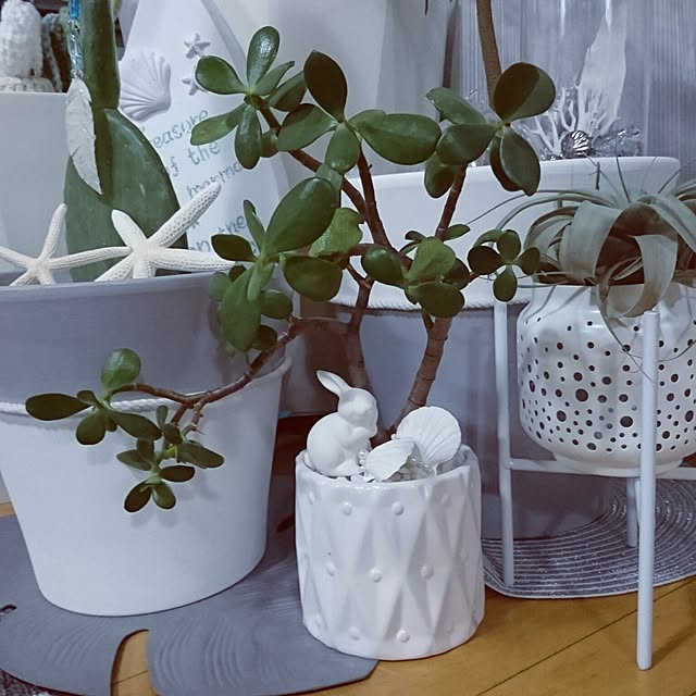 mhkさんの実例写真