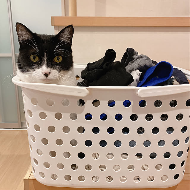 viraさんの実例写真