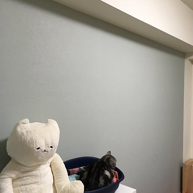 mikomaruさんの実例写真