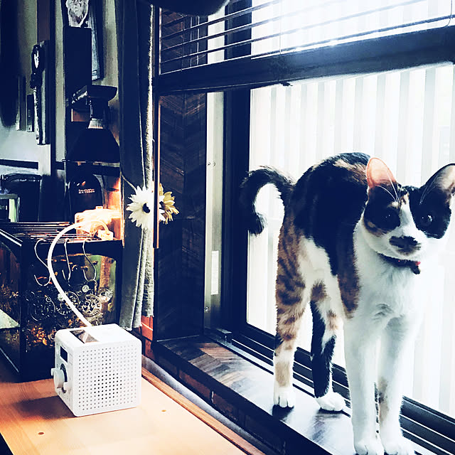 maroさんの実例写真