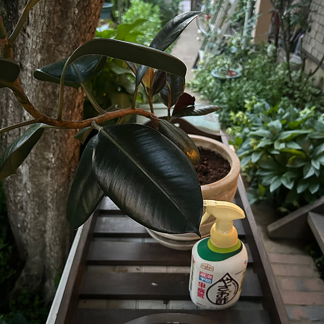 botanさんの実例写真