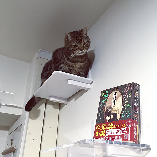 mikomaruさんの実例写真