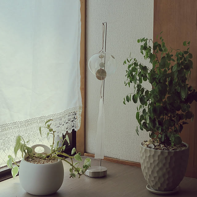 ficus38さんの実例写真
