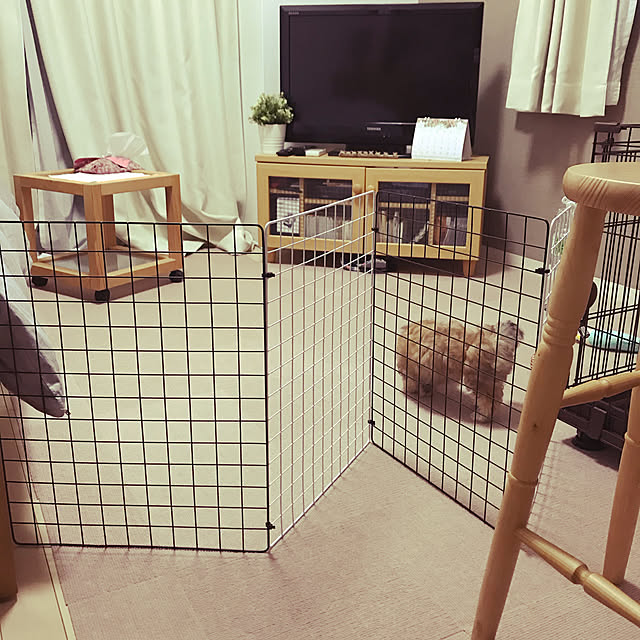 ナチュラルインテリア/賃貸/いいね、フォロー本当に感謝です♡/ペットと暮らすインテリア/一人と一匹暮らし...などのインテリア実例 - 2021-05-16 10:08:59