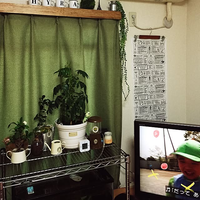 riaさんの実例写真