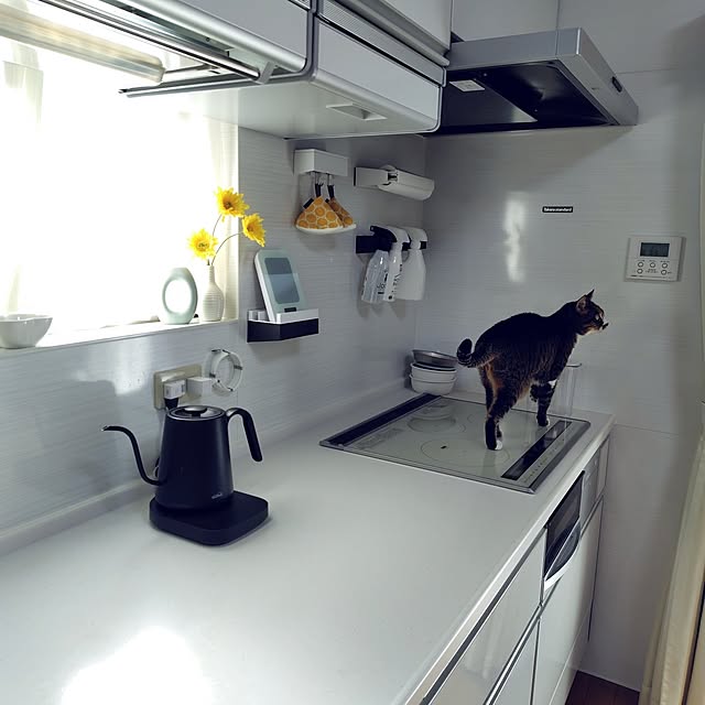 nachiさんの部屋