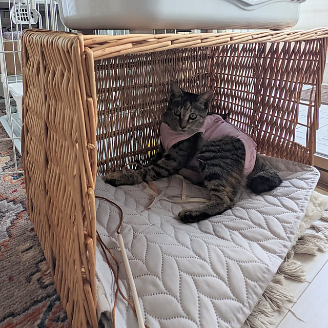 flannel.さんの実例写真