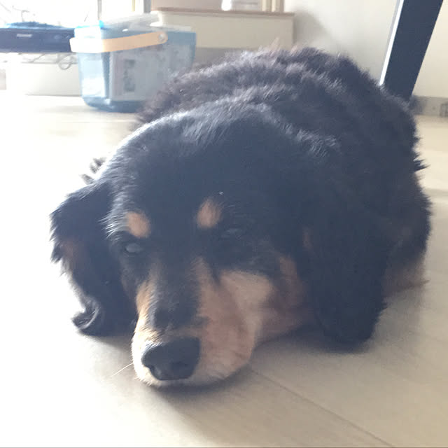 ohanaさんの実例写真