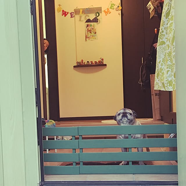 slinkyさんの実例写真