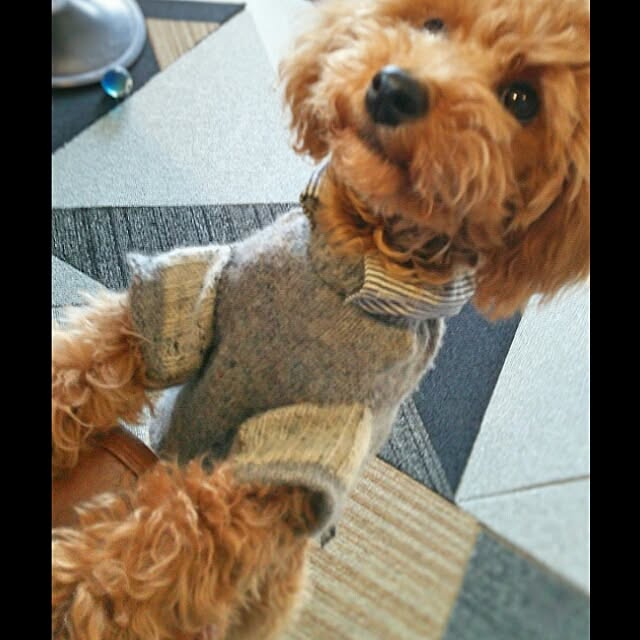 kaorinさんの実例写真