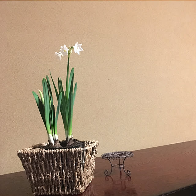 niconさんの実例写真