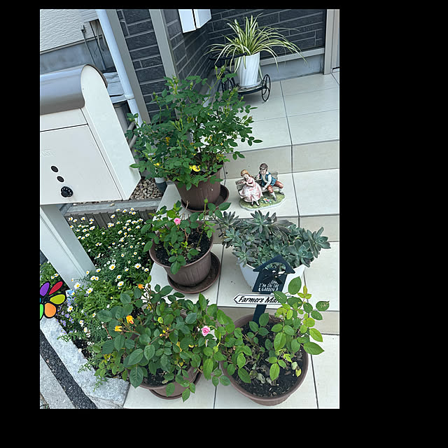 Hさんの部屋