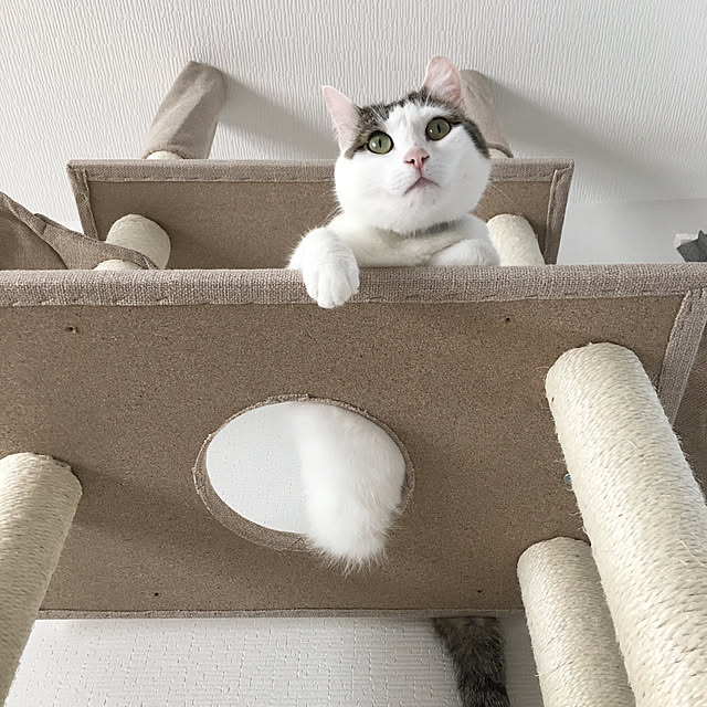 nnkttoさんの実例写真