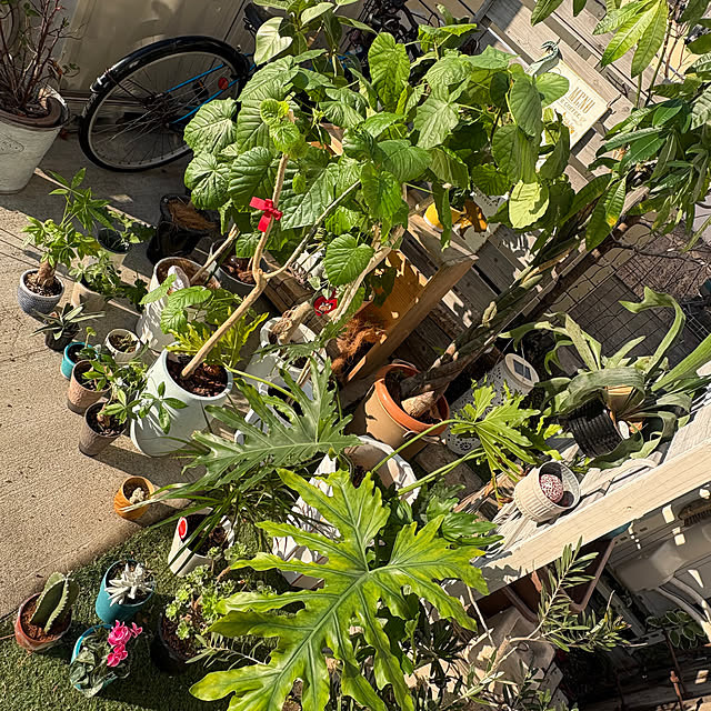 hirariさんの実例写真