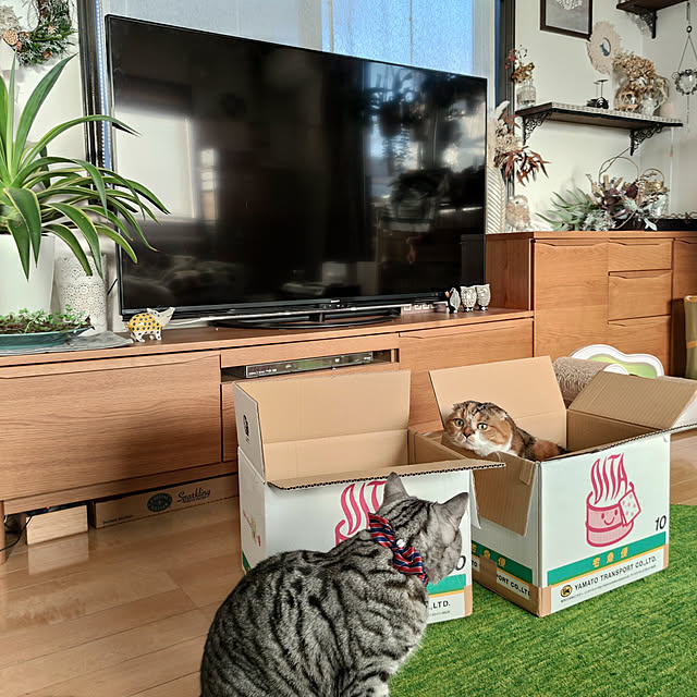 hiro3さんの実例写真