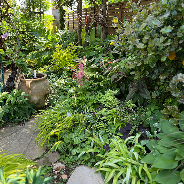Royal_Gardeners_Clubさんの部屋