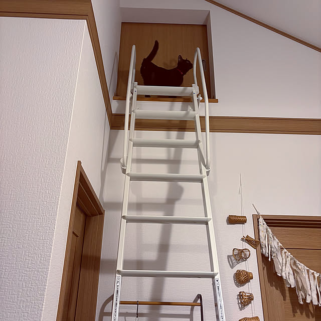 niko.mamさんの部屋