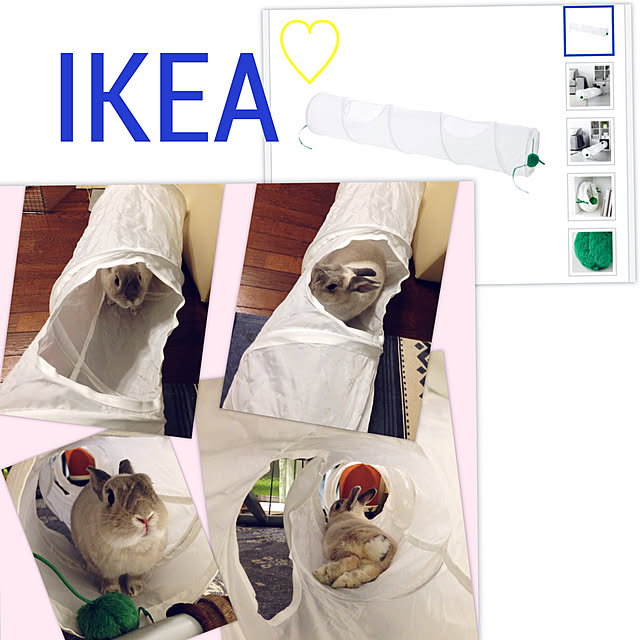 yokomokoさんの実例写真