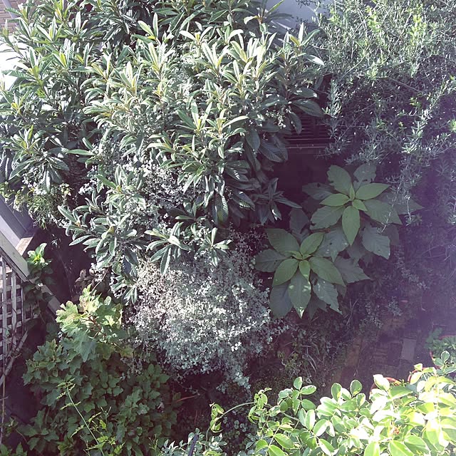 na-chanさんの実例写真