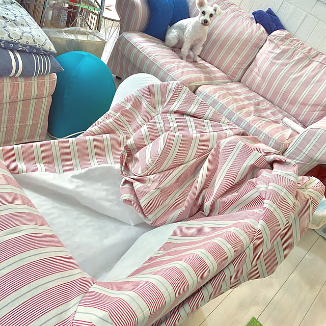 suzyさんの実例写真