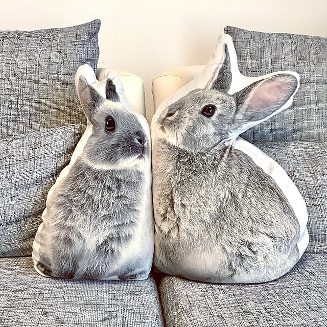 ニトリうさぎクッションのおすすめ商品とおしゃれな実例 ニトリうさぎクッションのおすすめ商品とおしゃれな実例