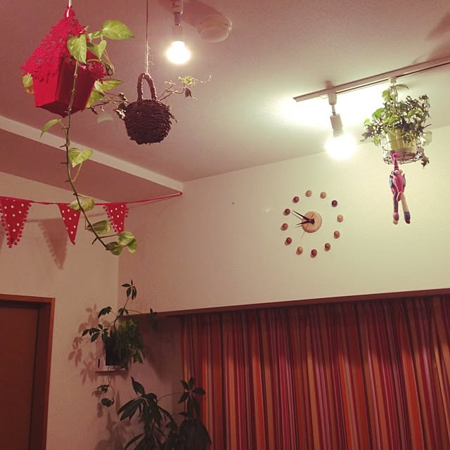 maimaiさんの実例写真