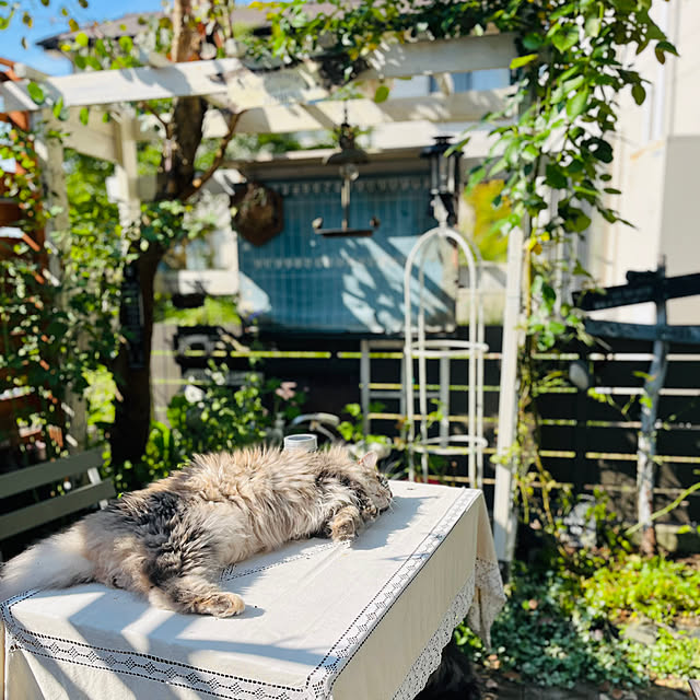 mayumiさんの部屋