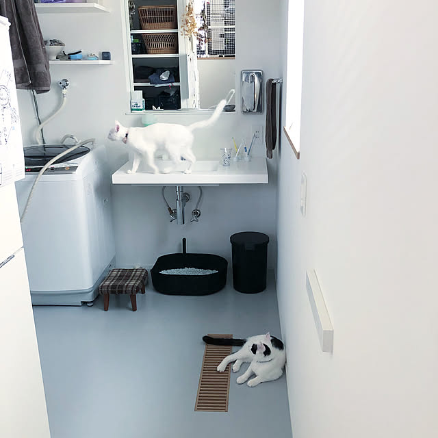 td.hsさんの実例写真