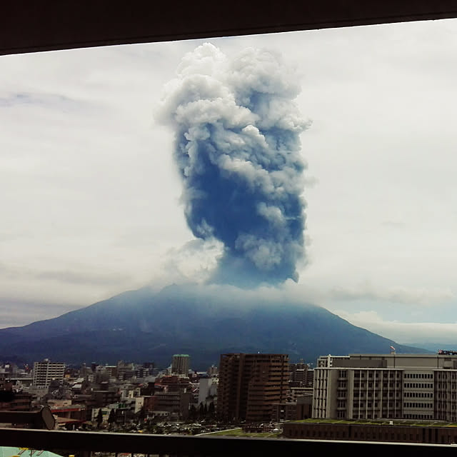 実例写真