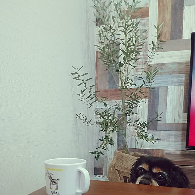 coconataさんの実例写真