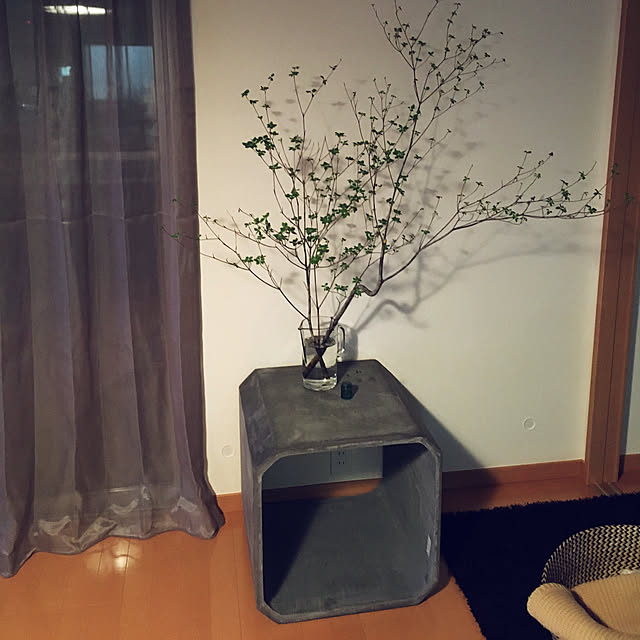roxane226さんの実例写真