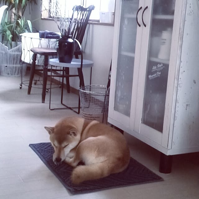 kさんの実例写真