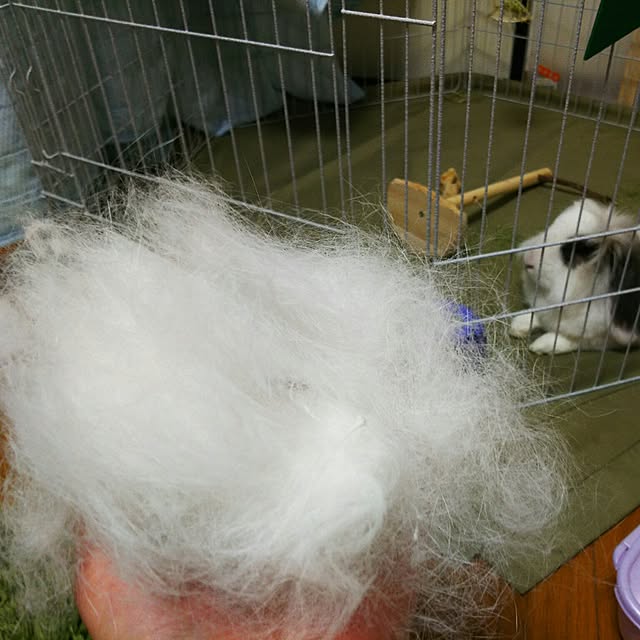 WASABIさんの実例写真
