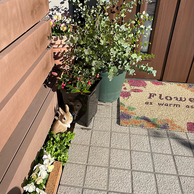 ronronさんの実例写真
