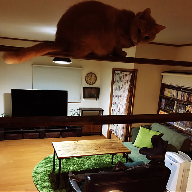 mikan161さんの実例写真