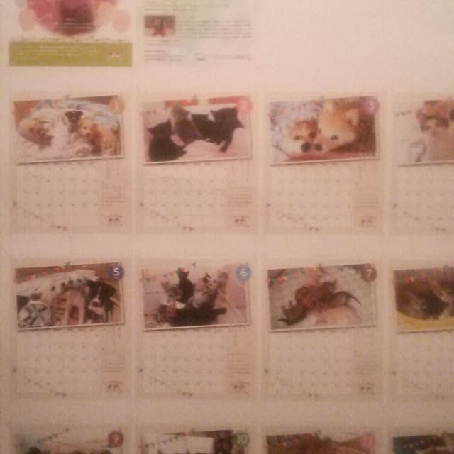 tomopさんの実例写真