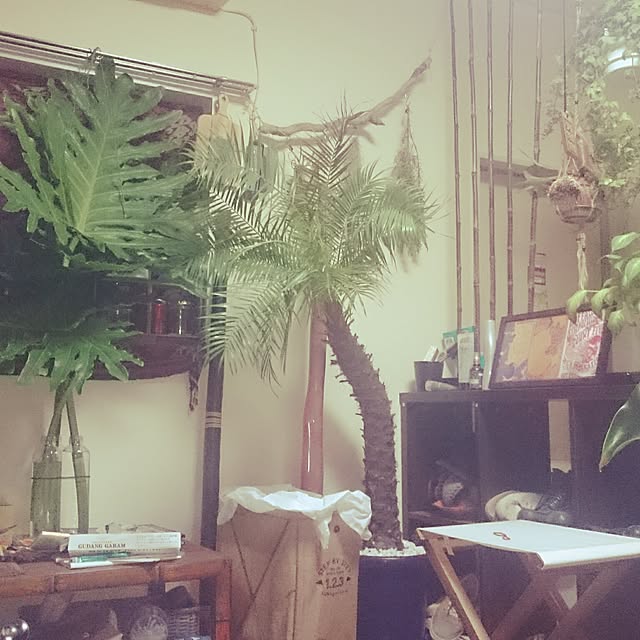 junさんの実例写真
