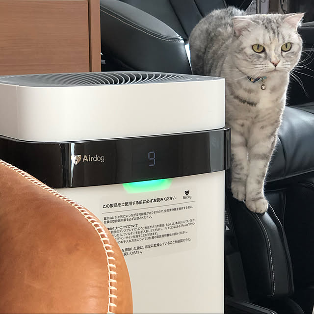 yokkochanさんの実例写真