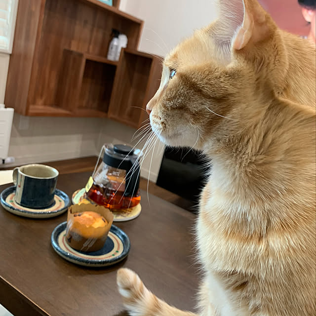 mikeume7さんの実例写真