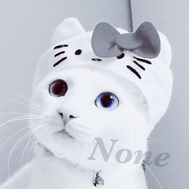 NONE/壁/天井のインテリア実例 - 2020-09-24 11:31:40