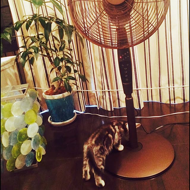 Kanaさんの実例写真