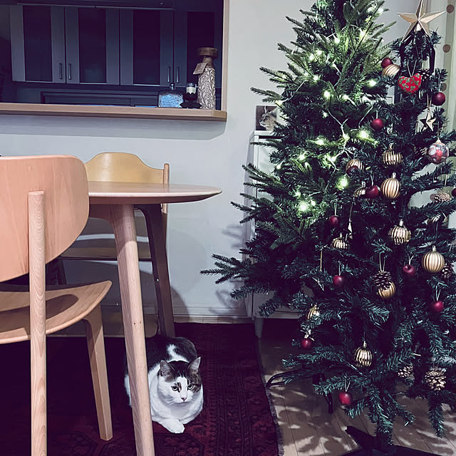 RARAさんの実例写真