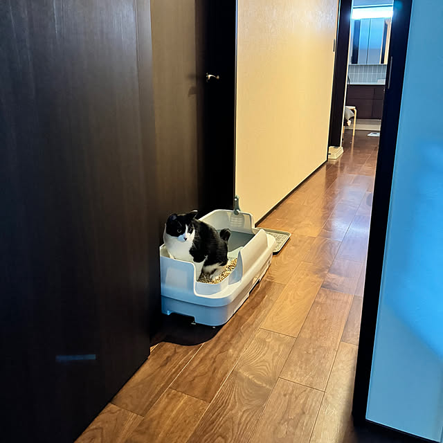 porinさんの部屋