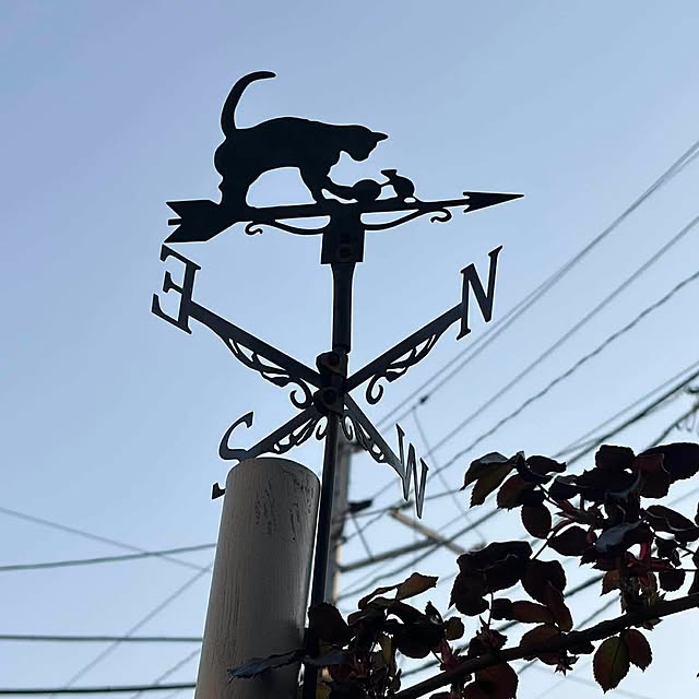 botanさんの実例写真