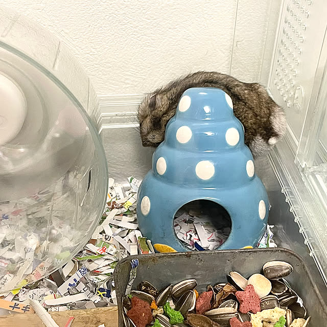 adamoさんの実例写真