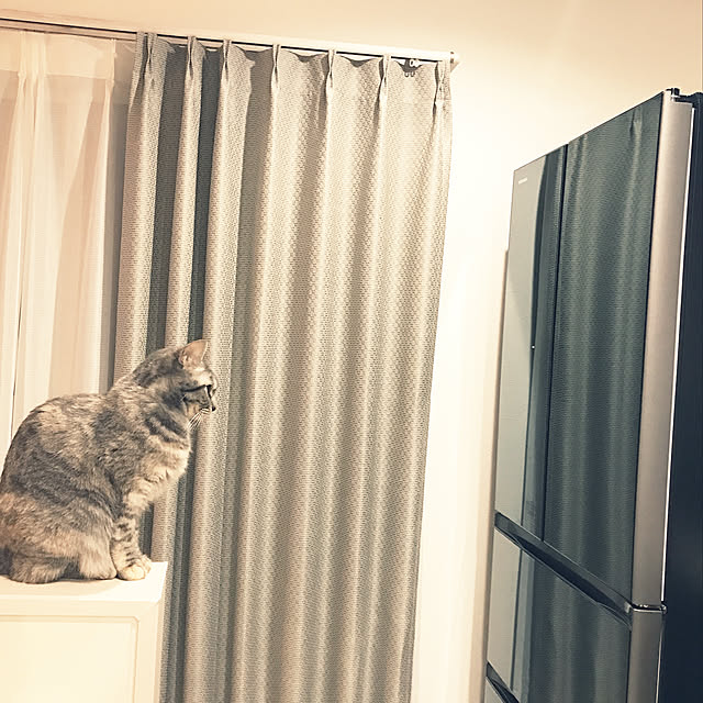 xxxxさんの実例写真