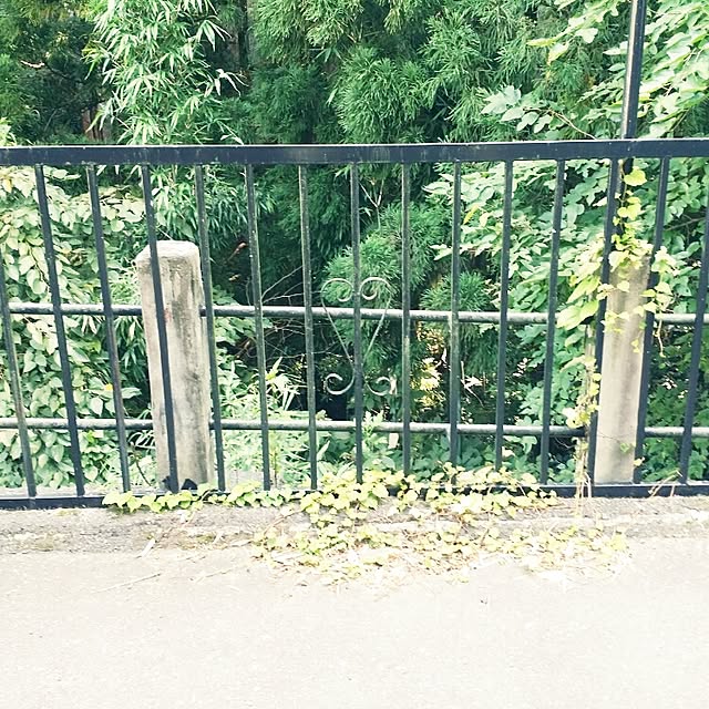 hana.1321jpさんの実例写真