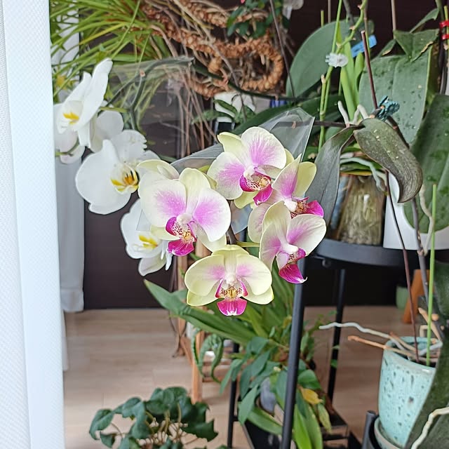 reko639さんの部屋